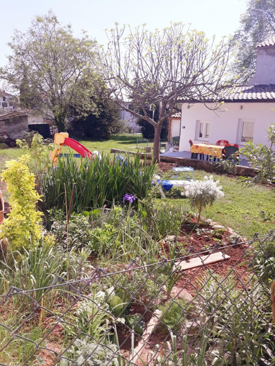 Ferienwohnung Amalia Umag Exterior foto