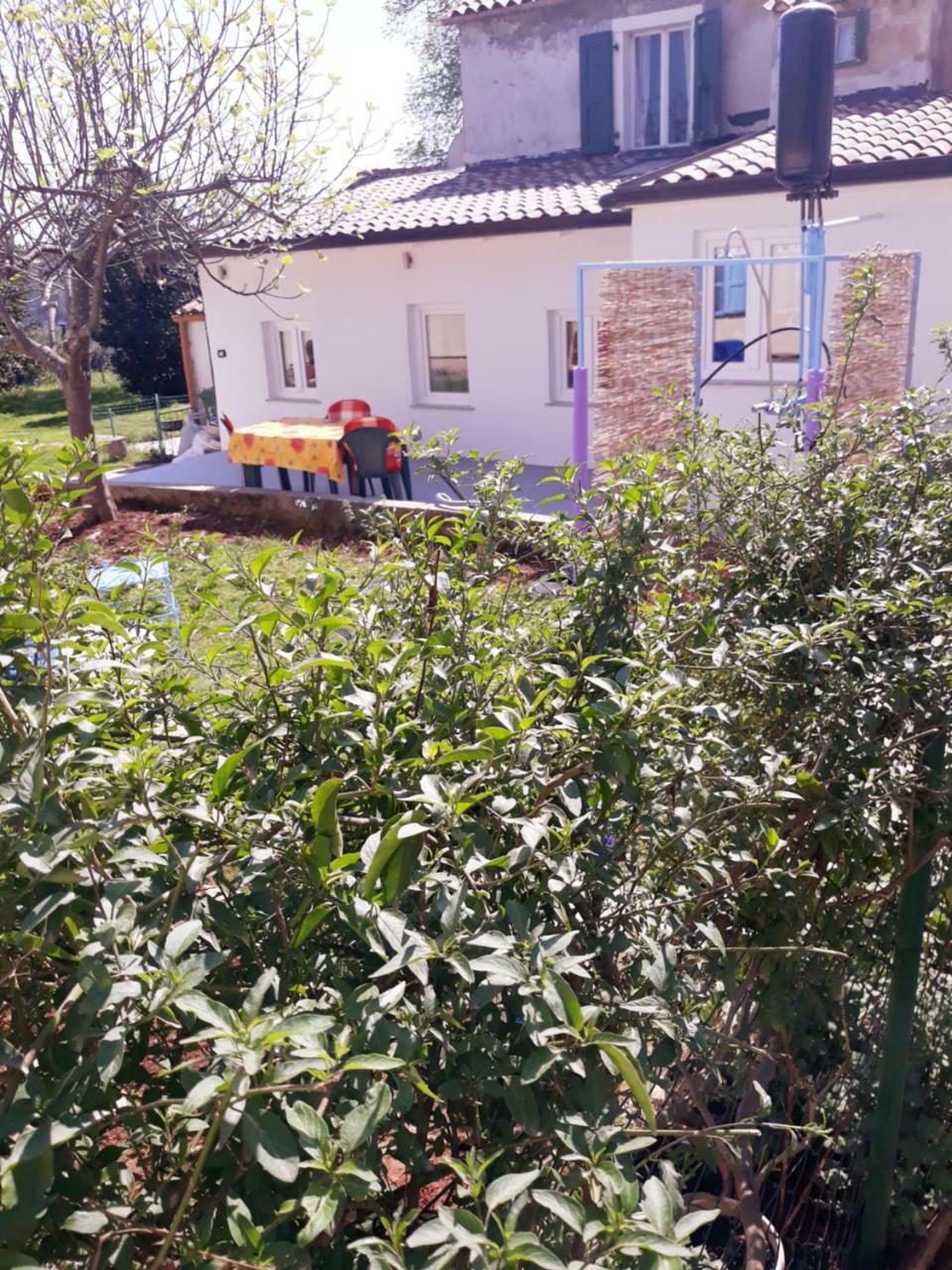 Ferienwohnung Amalia Umag Exterior foto