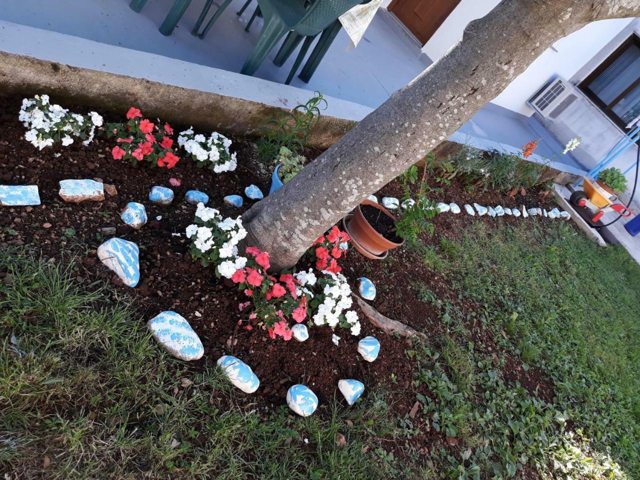 Ferienwohnung Amalia Umag Exterior foto